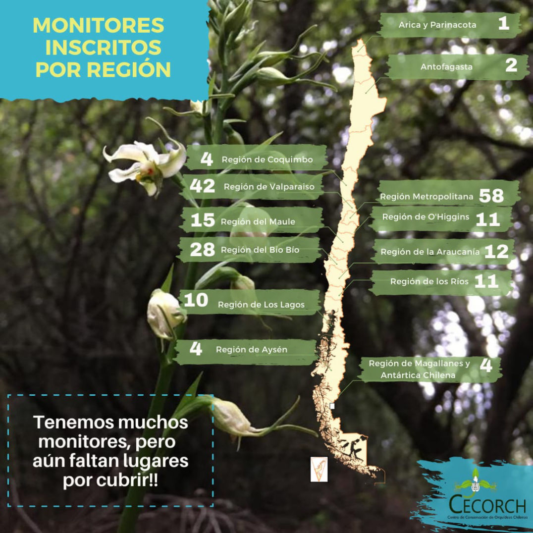 Monitores